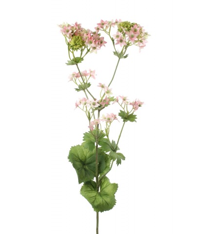 Alchemilla mollis artificielle