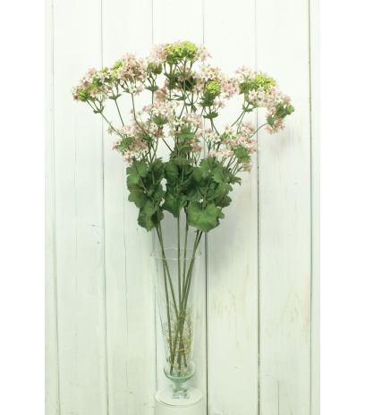 Alchemilla mollis artificielle