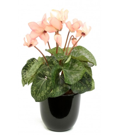 Cyclamen artificiel rose