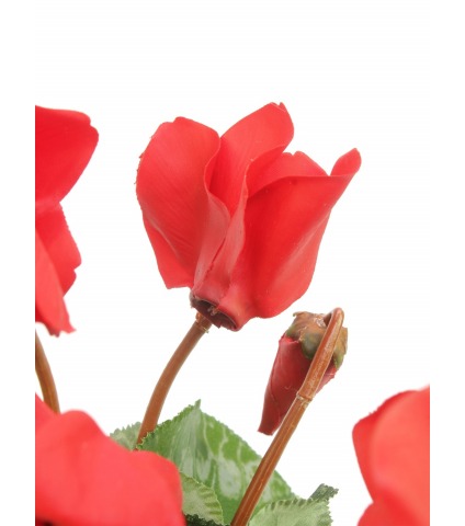 Cyclamen artificiel rouge