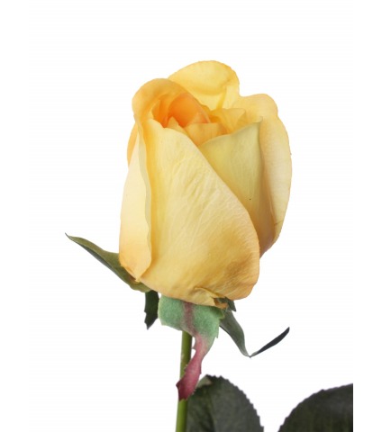 Rose artificielle jaune et orange