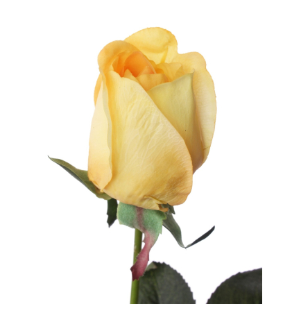 Rose artificielle jaune et orange