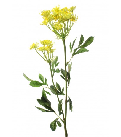 Ammi majus jaune artificiel