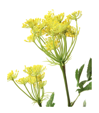 Ammi majus jaune artificiel