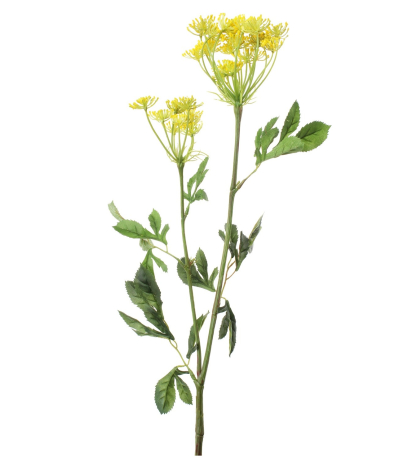 Ammi majus jaune artificiel