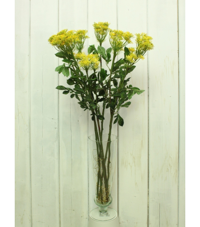 Ammi majus jaune artificiel