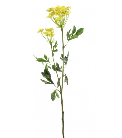 Ammi majus jaune artificiel