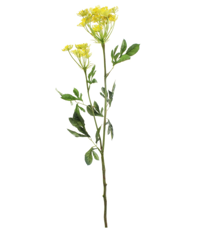 Ammi majus jaune artificiel