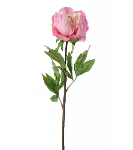 Pivoine artificielle géante