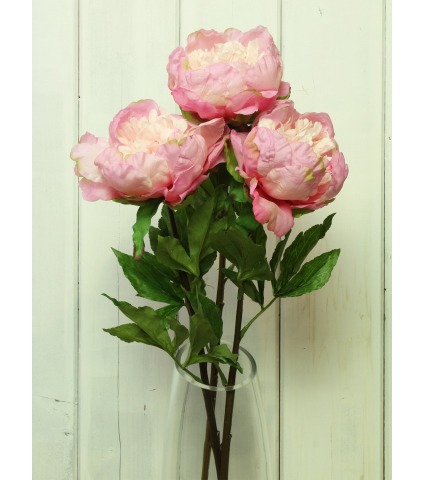 Pivoine artificielle géante