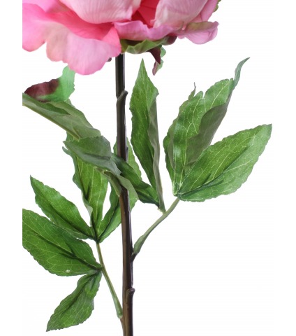 Pivoine artificielle géante