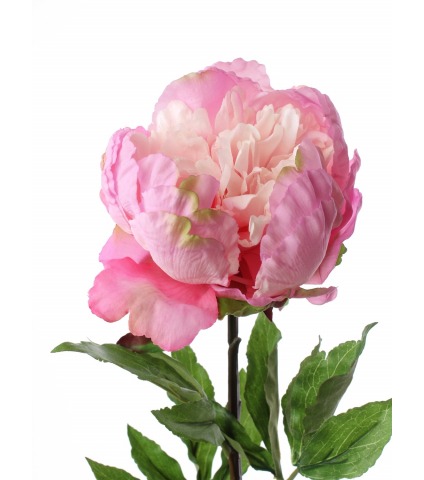 Pivoine artificielle géante