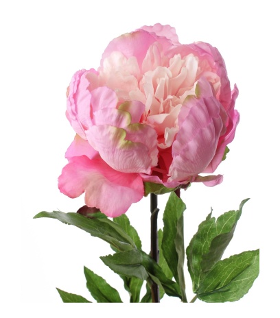 Pivoine artificielle géante