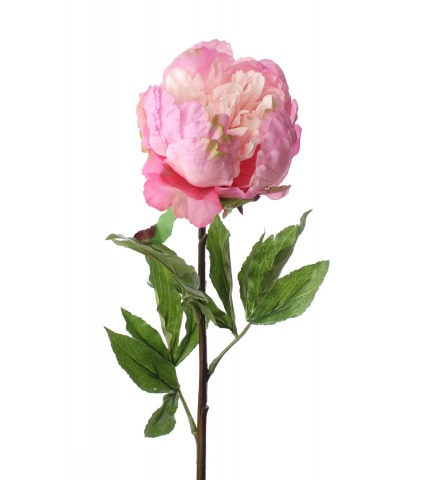 Pivoine artificielle géante