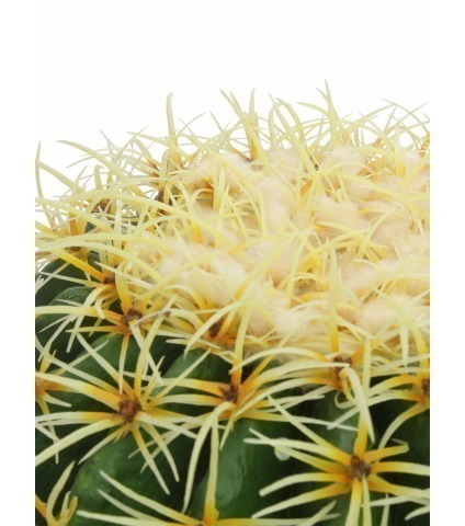 Cactus artificiel en boule