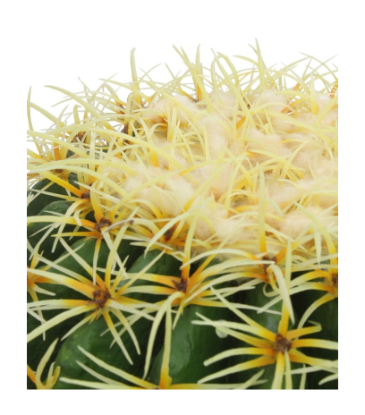 Cactus artificiel en boule