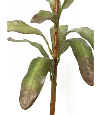 Protea artificielle