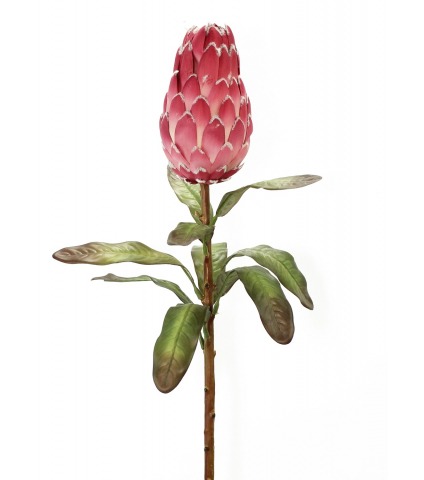Protea artificielle