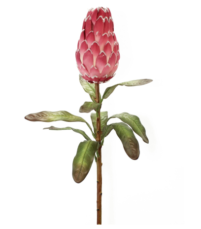Protea artificielle