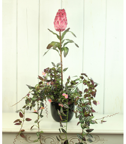 Protea artificielle