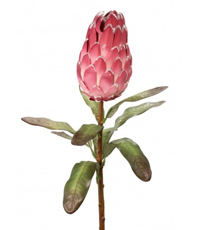Protea artificielle
