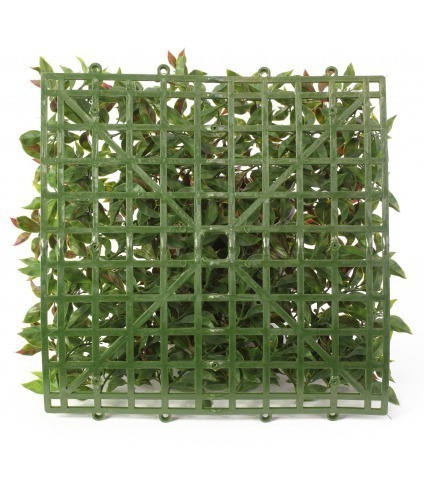 Plaque artificielle de ruscus