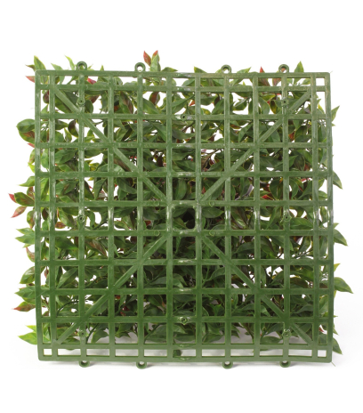 Plaque artificielle de ruscus