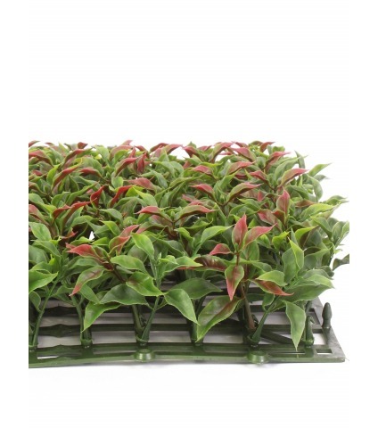 Plaque artificielle de ruscus