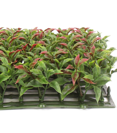 Plaque artificielle de ruscus