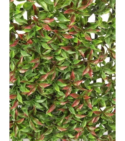 Plaque artificielle de ruscus