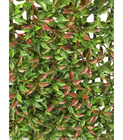 Plaque artificielle de ruscus