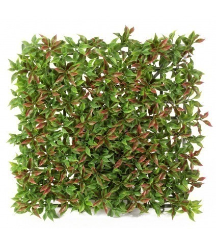 Plaque artificielle de ruscus