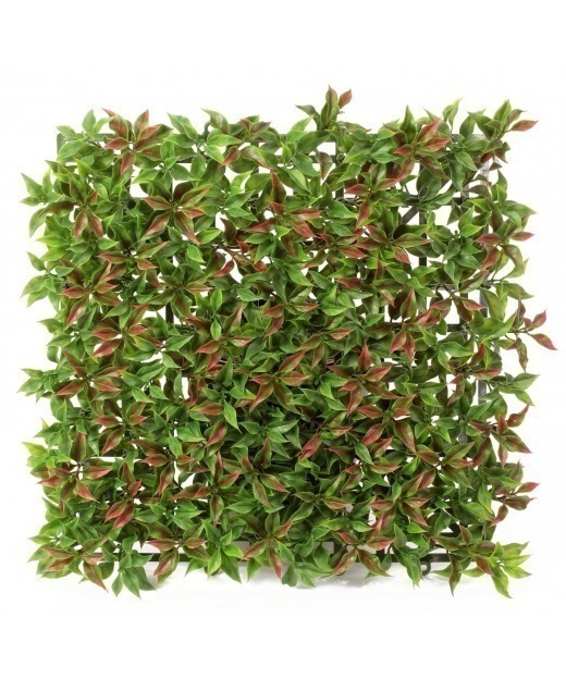 Plaque artificielle de ruscus