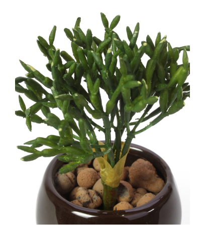 Rhipsalis artificiel