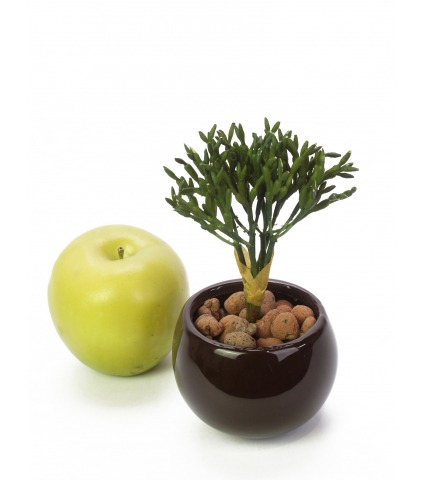 Rhipsalis artificiel