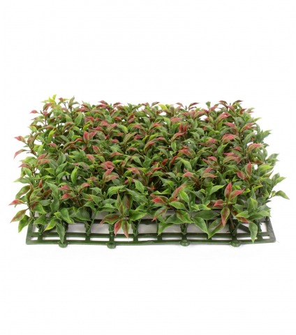 Plaque artificielle de ruscus