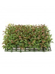 Plaque artificielle de ruscus