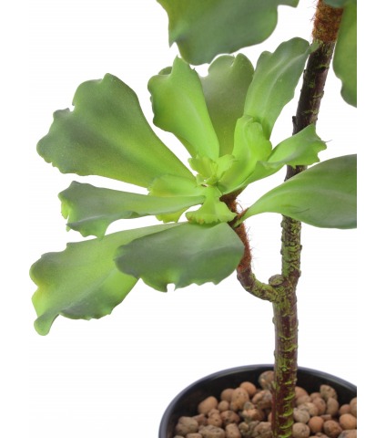 Succulente artificielle verte