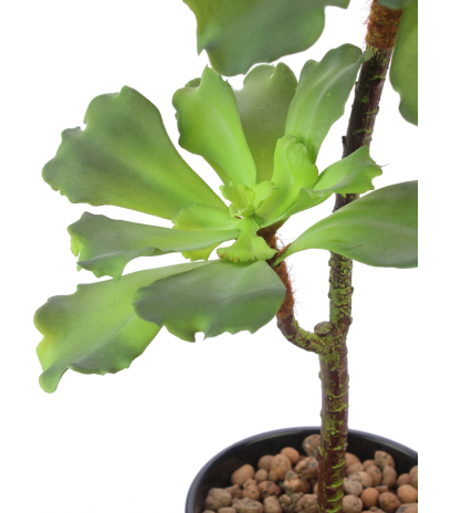 Succulente artificielle verte