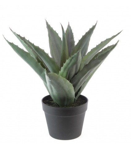 Agave épineuse artificielle