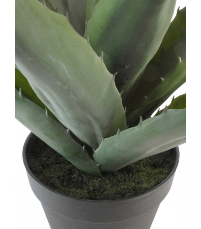Agave épineuse artificielle