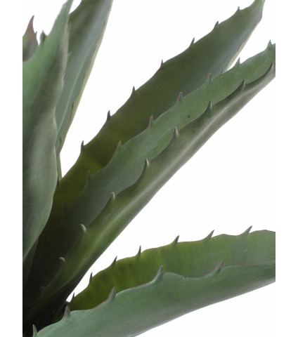 Agave épineuse artificielle