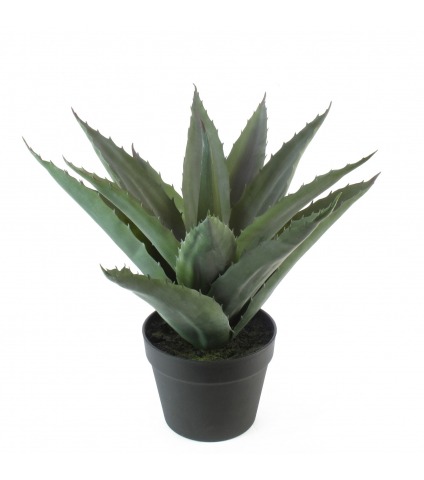 Agave épineuse artificielle