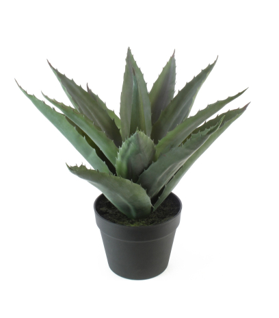Agave épineuse artificielle