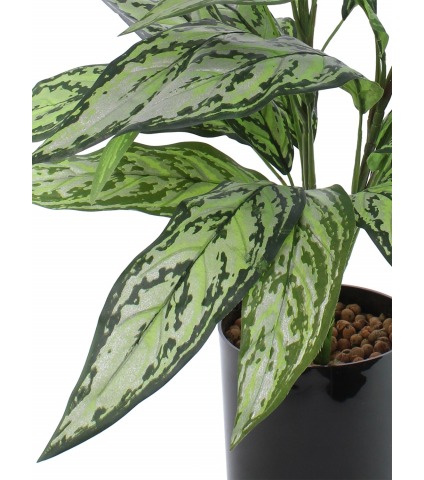 Aglaonème artificiel