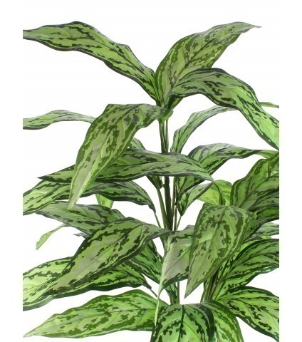 Aglaonème artificiel