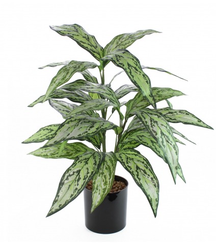 Aglaonème artificiel