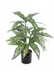 Aglaonème artificiel