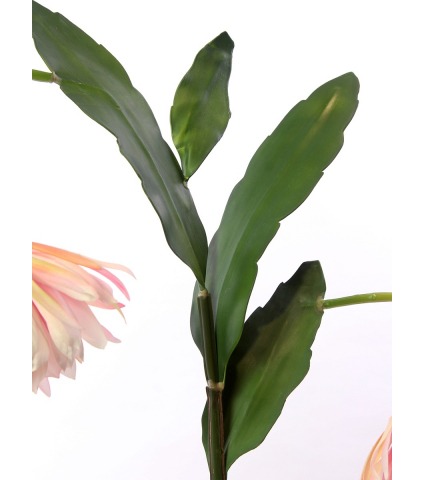 Tubéreuse artificielle