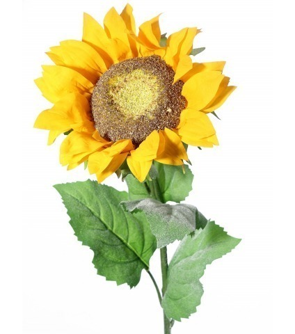 Tournesol artificiel géant